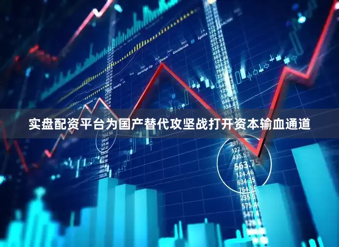 实盘配资平台为国产替代攻坚战打开资本输血通道