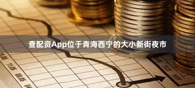 查配资App位于青海西宁的大小新街夜市