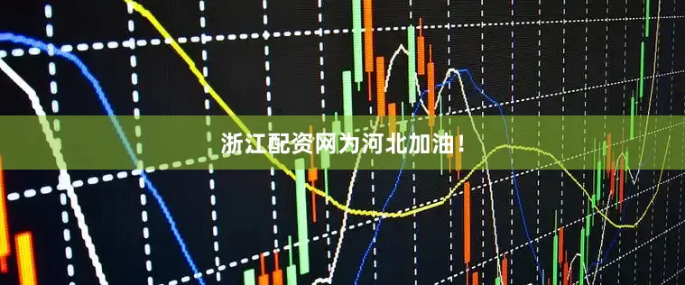 浙江配资网为河北加油！
